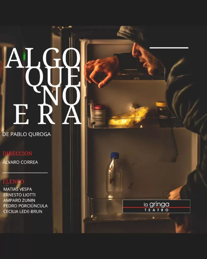 Afiche de Algo que no era